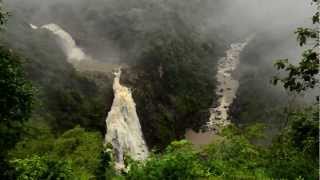 Ricky Kej  Jaya Hai Kannada Thaye  GRAMMY® WINNER  Karnataka WildLife and Nature Video [upl. by Llevert574]