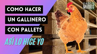 Como hacer un gallinero con pallets super fácil  Así lo hice [upl. by Nwaf]