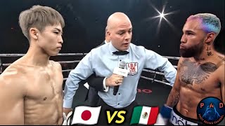 NAOYA INOUE VS LUIS NERY FULL FIGHT CLOSER LOOK [upl. by Laeahcim]