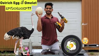 Ostrich Egg Omelette  Usateluguvlogs Ostritch Noalfarm [upl. by Leahey]