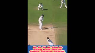 Headingley Test 2019 English Crowds Emotional Movements viratkohli cricketlover ipl [upl. by Ecirpac594]