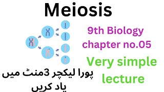 meiosis  9th class biology  9th [upl. by Arny]