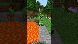 Minecraft dog meme [upl. by Burny]