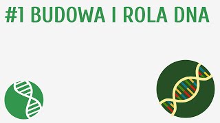 Budowa i rola DNA 1  Genetyka [upl. by Ecirted]