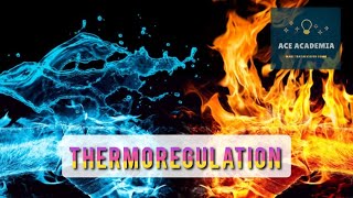 ALevel Biology Thermoregulation [upl. by Sears61]