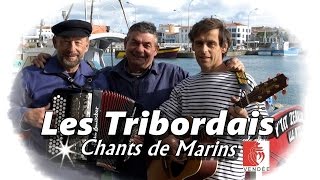 LES TRIBORDAIS La chanson des Tribordais Chant de Marin [upl. by Ynes]