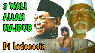 3 Wali Allah Dengan Tingkatan Majdub Di Indonesia [upl. by Attennot67]