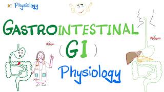 Gastrointestinal GI Physiology…The Basics Introduction  Physiology Series [upl. by Levesque]