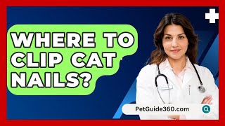 Where To Clip Cat Nails  PetGuide360com [upl. by Iong]