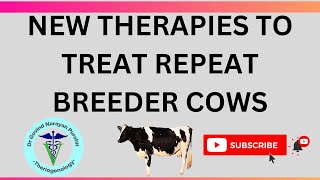 Discover New Ways to Cure Cows Struggling to Get Pregnant [upl. by Maia]