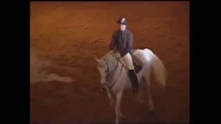 Spanische Reitschule Wien 1994 16  Alle Gänge und Touren [upl. by Ednihek]