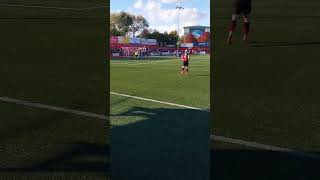 Tamworth Tonks throw in [upl. by Jerald171]