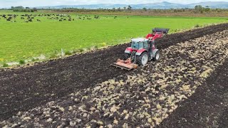 Ripping Rotary Hoeing Paddocks Ready for Maize Bull Change [upl. by Darelle857]