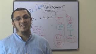 MRCP  NEURO  Motor Neuron Disease‎  Dr Mohamed Osama [upl. by Reube]