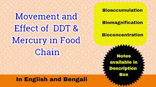 Movement of DDT and Mercury in Food Chain Effect of DDT and Mercury Toxicology Part6 [upl. by Jacki744]