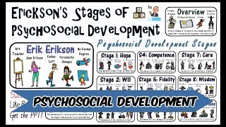 Erik Erikson Stages of Psychosocial Development Theory [upl. by Eckel793]