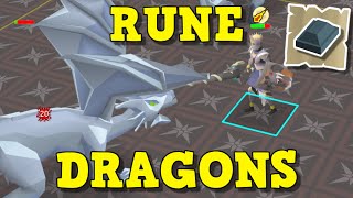 Rune Dragons Are Incredible  Ultimate Rune Dragons Guide Old School Runescape [upl. by Ned]