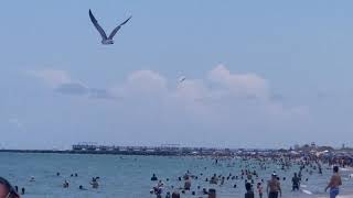 B2 Stealth Bomber flies over Miami Beach 53021 [upl. by Htidra]