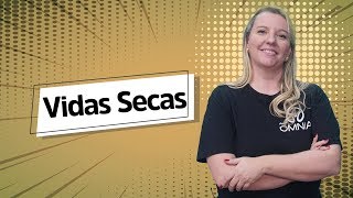 Vidas Secas  Análise Literária  Brasil Escola [upl. by Zawde]