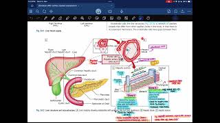 Hepatology03 Davidson  Medicine [upl. by Carmina627]