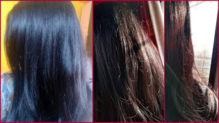 Henna hair dye to get deep brown to chocolate brown hair color  Cover grey hair [upl. by Kcinomod]