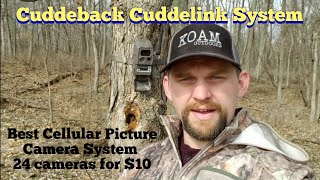 Cuddeback Cuddelink System 16 cameras 24 cameras now  KOAM Outdoors Reviews [upl. by Dulcia]