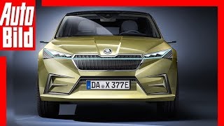 Zukunftsaussicht Skoda Vision iV 2019 Details  Erklärung [upl. by Hindu]