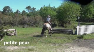 Comment préparer un CROSS à cheval [upl. by Annoit]