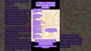 Infectious mononucleosis caused by EBV spreads through saliva and results in Downey cells biology [upl. by Liddle]