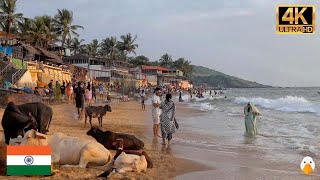 Goa India🇮🇳 Clean City and Best Beach Resorts in India 4K HDR [upl. by Lerud284]