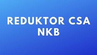 Reduktor sumator CSA  NKB [upl. by Boothman298]