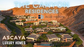 The Canyon Residences at Ascaya  Blue Heron Modern Luxury Homes for Sale  Henderson NV [upl. by Naejarual209]