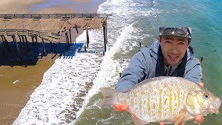 This Pier Got DESTROYED I Caught One Final Fish before it is DEMOLISHED [upl. by Terrene]