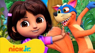 Dora  ¡Los Robos Más Astutos de Swiper 🦊 2  20 Minutos  Nick Jr en Español [upl. by Ainoz]