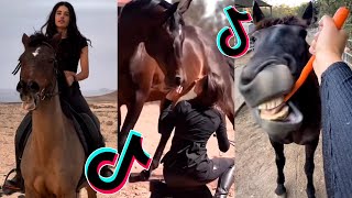 The Best HORSE TikTok Compilation 228 [upl. by Channing1]