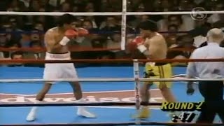 WOW KNOCKOUT OF THE YEAR  Michael Carbajal vs Humberto Gonzalez I Full HD Highlights [upl. by Morganstein428]