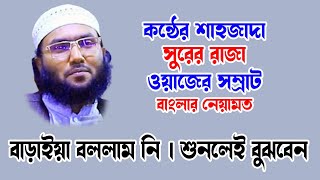 shoaib ahmed Ashrafi  শুয়াইব আহমদ আশ্রাফী  shoaib ahmed ashrafi waz  কন্ঠের শাহজাদা সুরের রাজা [upl. by Nnawtna71]