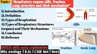 Respiratory organs Gills Trachea Lung structure and their mechanism  Respiration in invertebrate [upl. by Lyndsie]