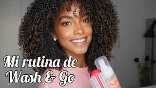 Como definir los rizos  Mi rutina de wash and go  Primavera 2020  Rutina Cabello rizado [upl. by Placia]