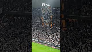 MOSAICO DA TORCIDA DO CORINTHIANS NO DÉRBI [upl. by Yaras]