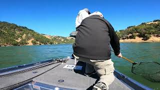 Lake Sonoma Bass Fishing June 2024 [upl. by Leventis]