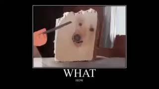 Barking dog turned into wood meme [upl. by Eidolem442]