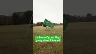 1 minute of wholesome green flags [upl. by Connel]