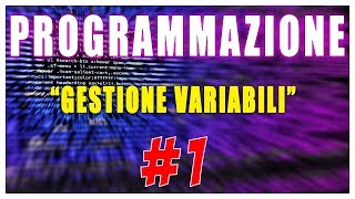 GESTIONE VARIABILI  PROGRAMMAZIONE 1  Vita Da Founder [upl. by Kira392]