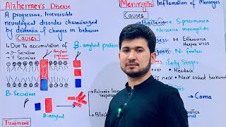 Alzheimers disease and meningitis causes symptoms and Treatment class 12 MDCAT Biology [upl. by Skipper285]