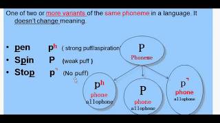 Morphology Lesson 5 Part 1 Morphemes and Allomorphs [upl. by Seugirdor89]