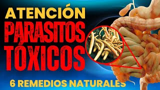 🚨PARÁSITOS INTESTINALES Las Señales OCULTAS y Cómo Eliminarlos con MÉTODOS NATURALES 🌱 [upl. by Anyrak785]