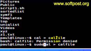 How to write output to file in CentOS [upl. by Renell544]