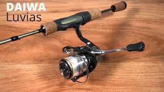 2020 DAIWA Luvias Review and comparison with 2019 Vanquish [upl. by Alit]