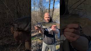 Bullhead Catfish fishing [upl. by Ebonee]